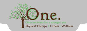 One Physical Therapy & Fitness logo on a gray background.